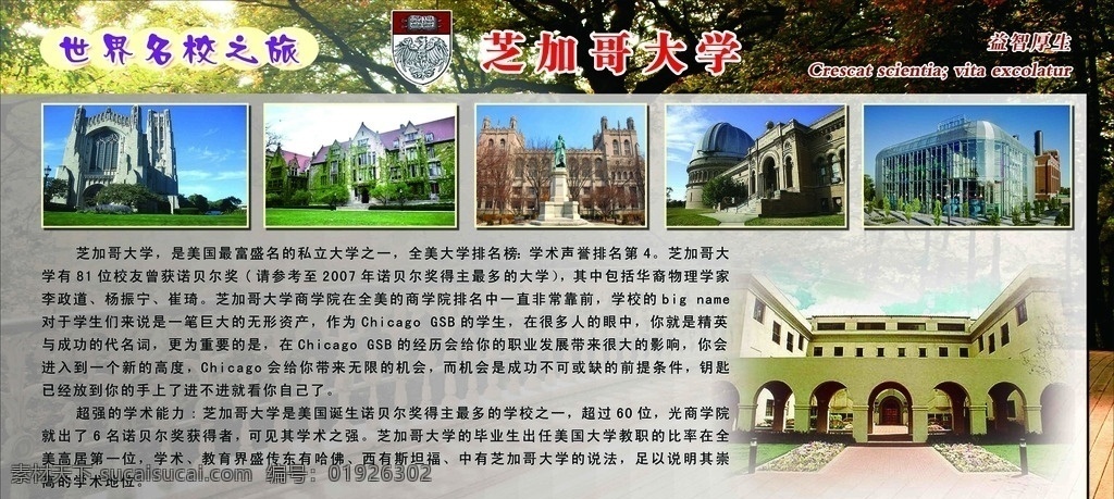 世界名校 名校之旅 芝加哥大学 哈佛 剑桥 自由女神像 中恒学校 学士 大学生 女学士 分层
