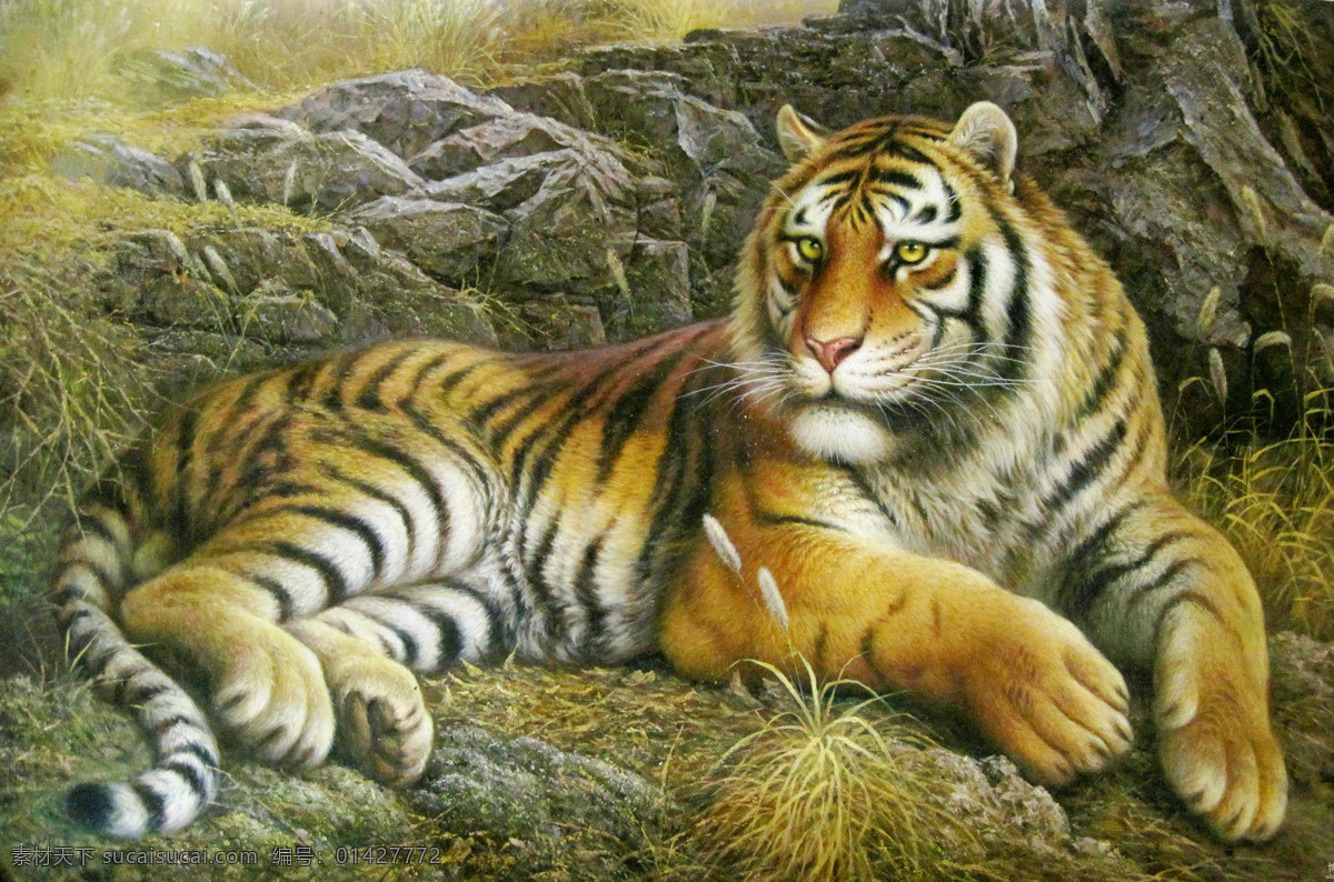 伏虎 美术 绘画 油画 写实油画 动物 猛兽 老虎 山地 杂草 石头 油画艺术 油画作品17 绘画书法 文化艺术