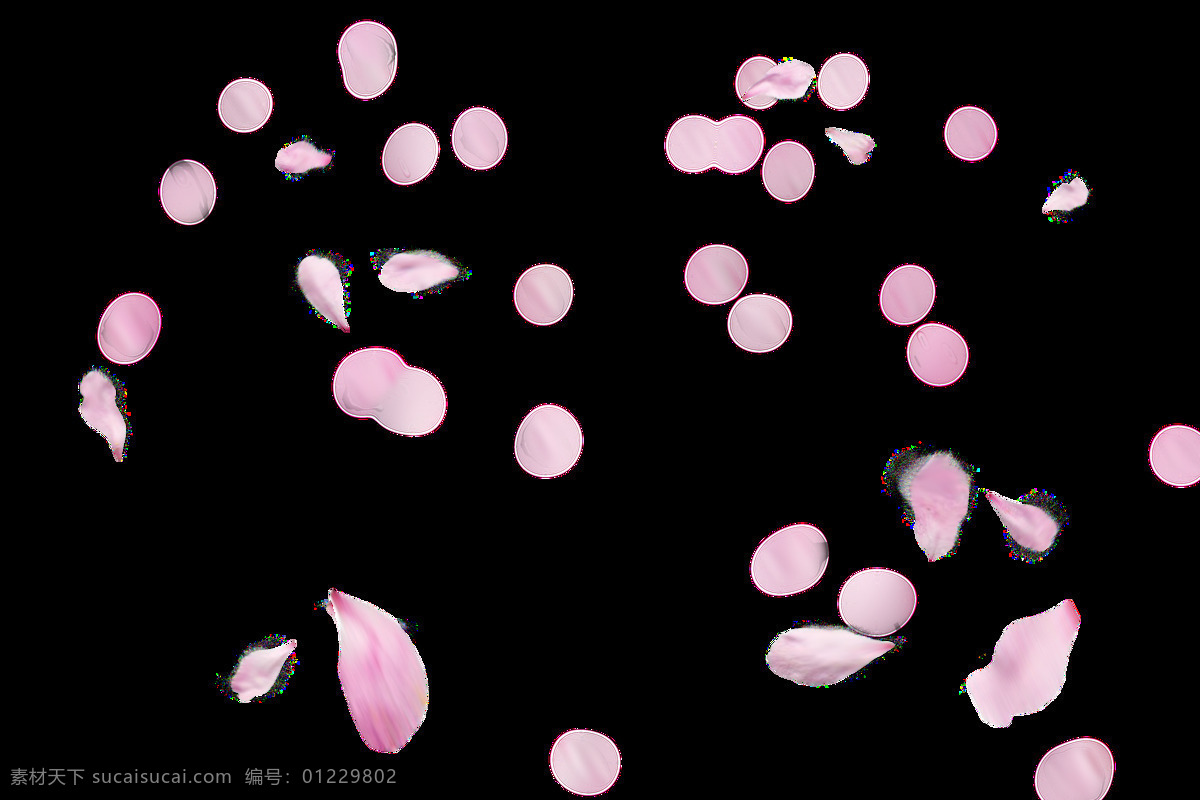 花瓣 花瓣素材 花瓣元素 花瓣图案 花瓣图片 花瓣图标 花瓣背景 花瓣底纹 花朵 花朵图案 花朵花瓣 桃花花瓣 梅花 梅花花瓣 桃花瓣 梅花瓣 落花 桃花 花背景 花 小花 花草背景 花底纹 梨花 花草 小花小草 野花 菊花 残花 落叶 矢量花瓣 分层花瓣 花冠 叶子 树叶 红花 绿叶