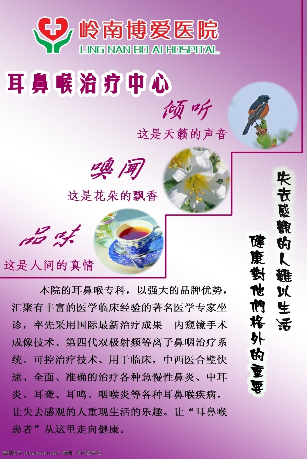 医院 专科 广告设计模板 花 咖啡 鸟 源文件 医院专科 耳鼻喉专科 听觉 嗅觉 味觉 博爱医院