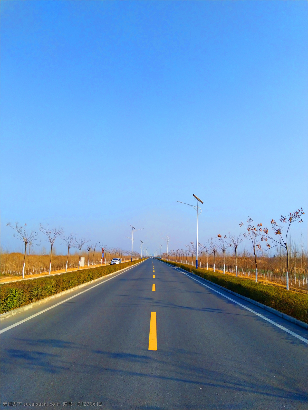 美丽 道路 风景 蔚蓝 路灯 枯草 深秋 美景 乡村风采 自然景观 自然风景