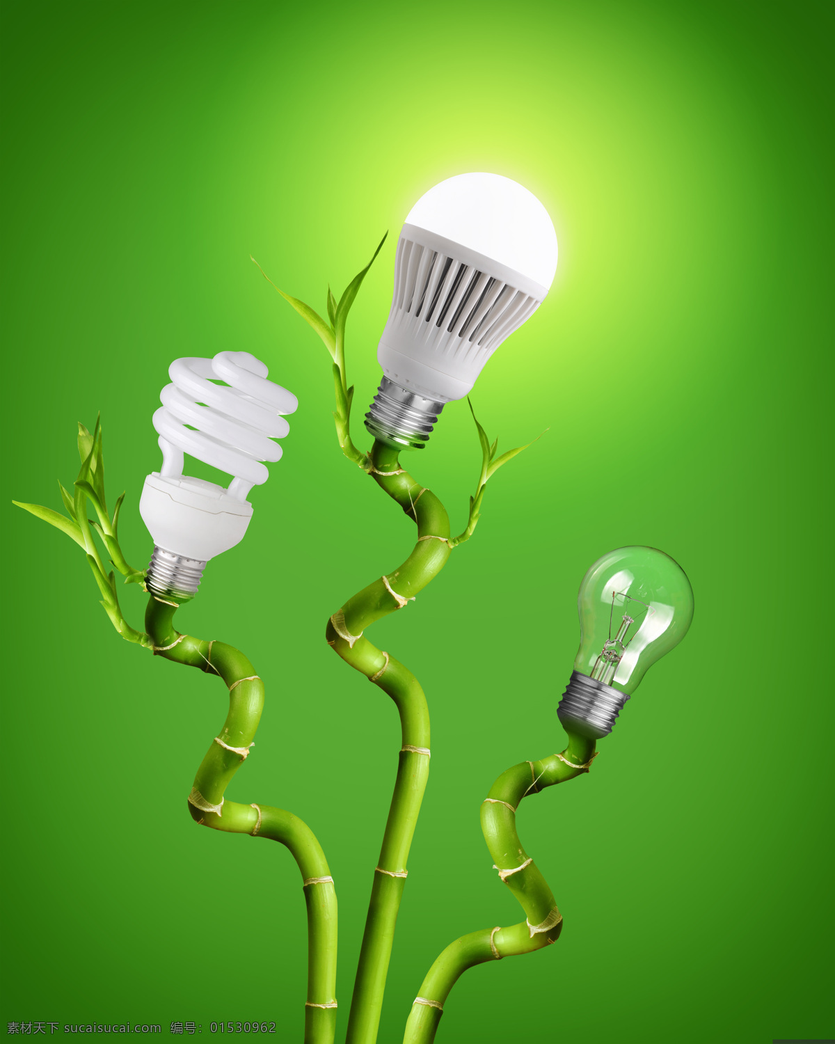 创意环保灯泡 环保 绿色 灯泡 节能 低碳 创意 竹子 富贵竹 节能灯