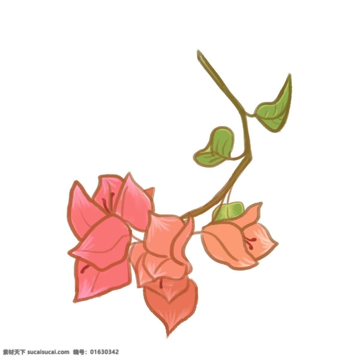 手绘 彩 铅 风 粉色 橘 色 三角 梅花 手绘风 橘色 三角梅 手绘花 卡通可爱 彩铅风 花