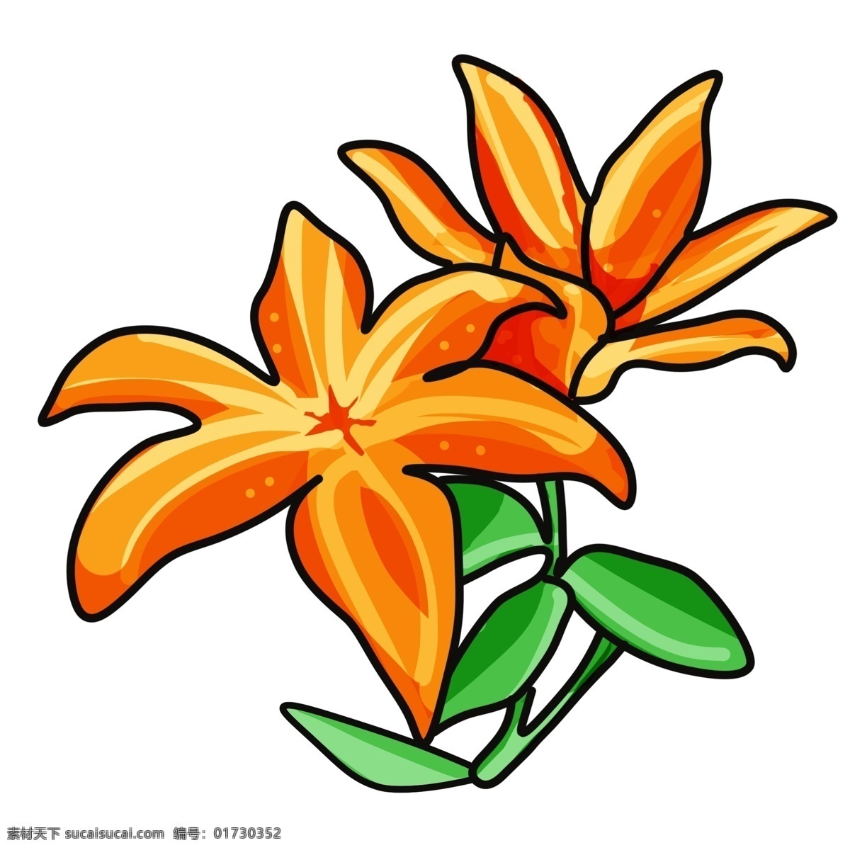 手绘 黄色 百合 插画 商用 元素 花瓣 花朵 绿叶 分叉 渐变色