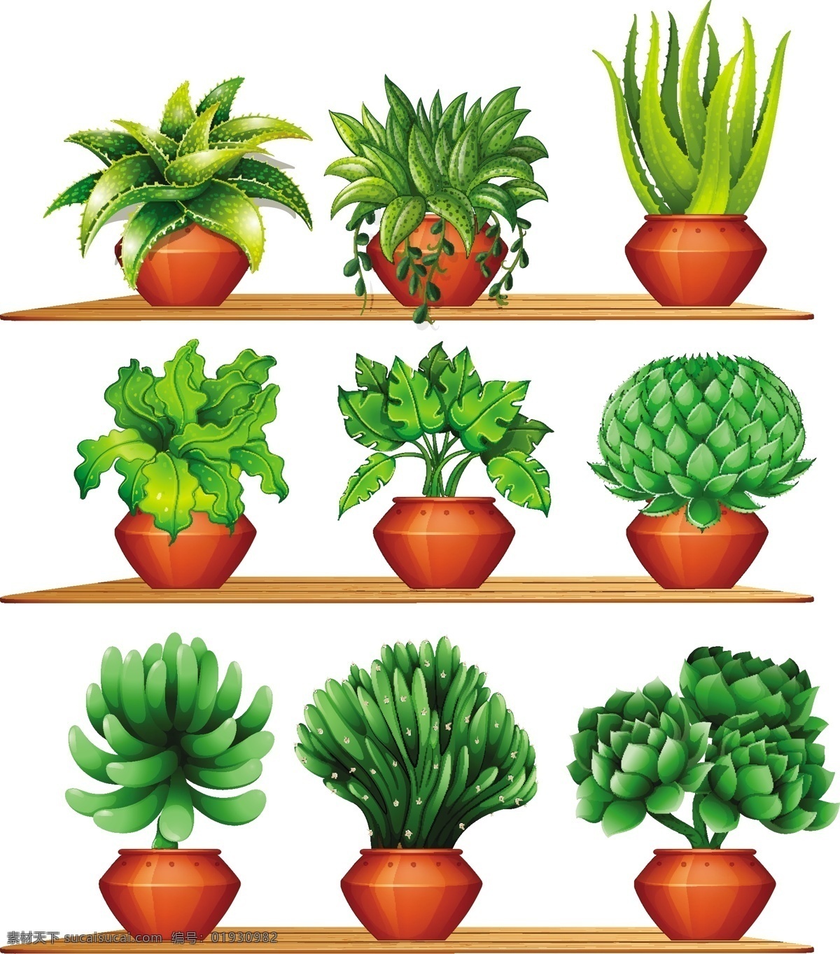 陶罐 里 各种 植物 插图 树叶 自然 森林 艺术 装饰 绘画 不同 粘土 花盆 种类