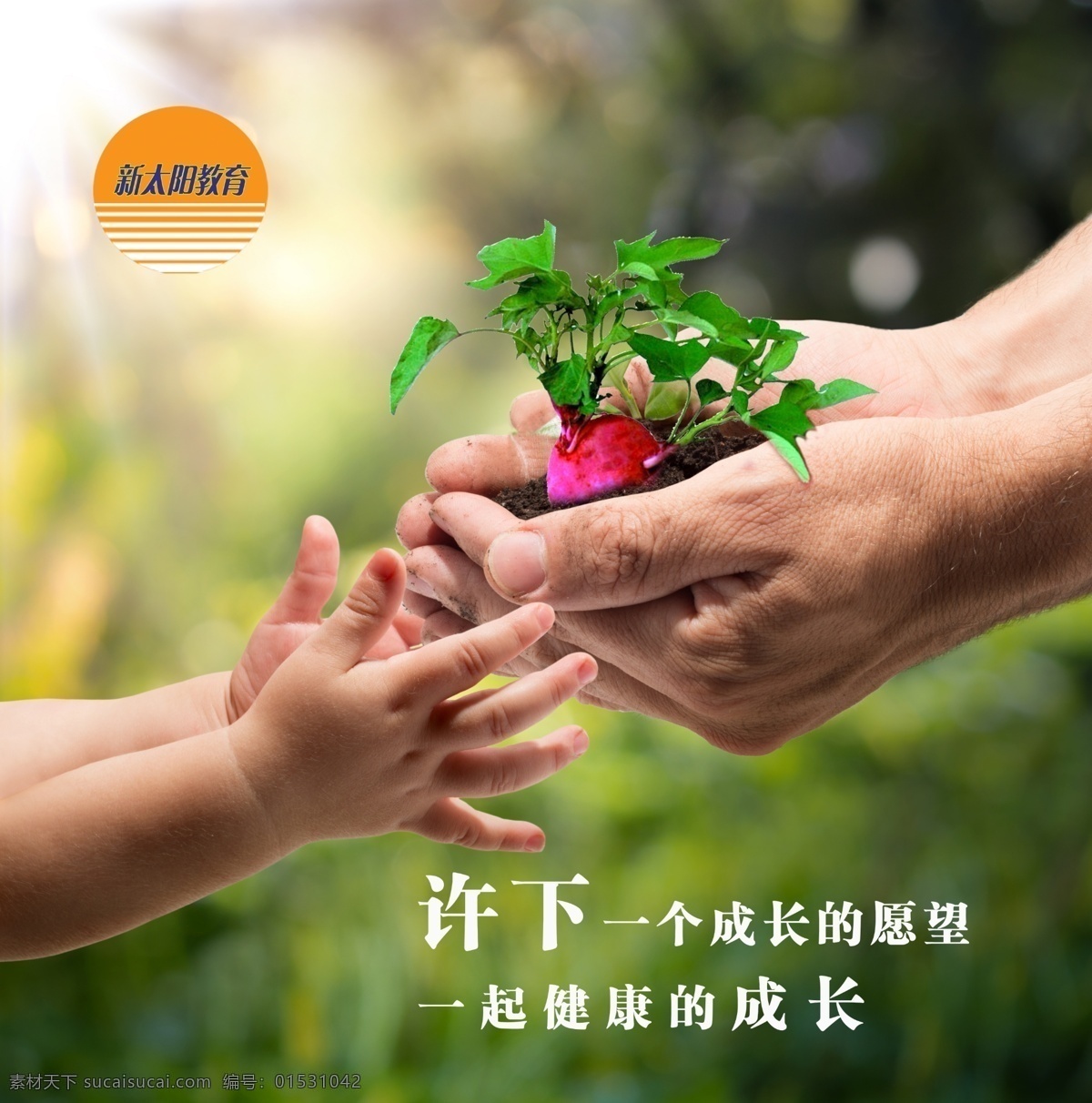关注树苗 保护环境 树苗 红薯苗 绿色 手 孩子的手