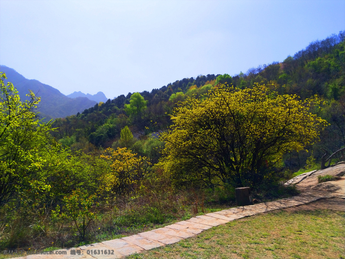 壮丽 大山 风景 蓝天 美景 树木 多娇江山 自然景观 自然风景