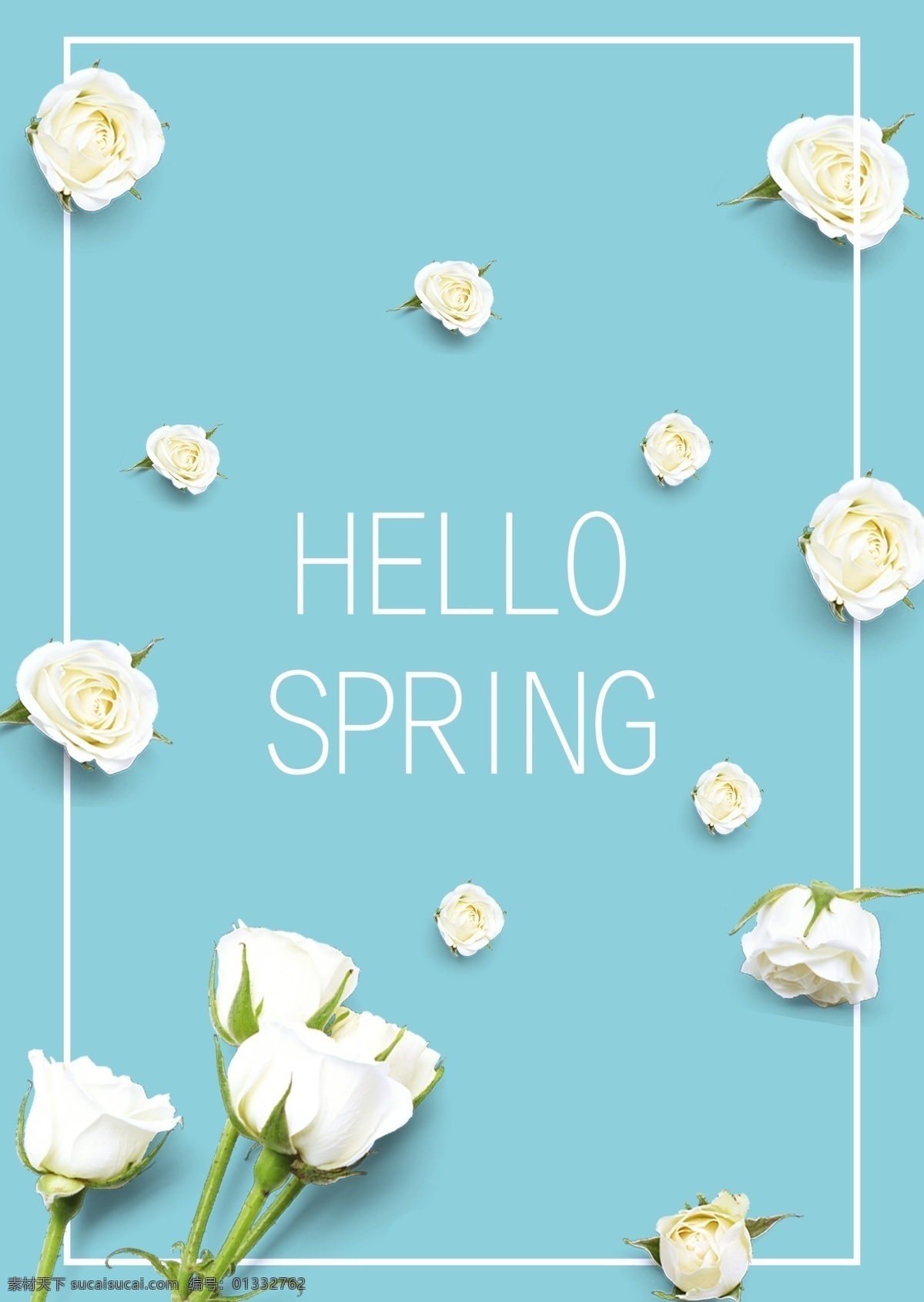 蓝色 唯美 白 玫瑰 春季 促销 海报 白玫瑰 绿叶 鲜花 清新 春日 春天 大自然 打折 降价 绿色