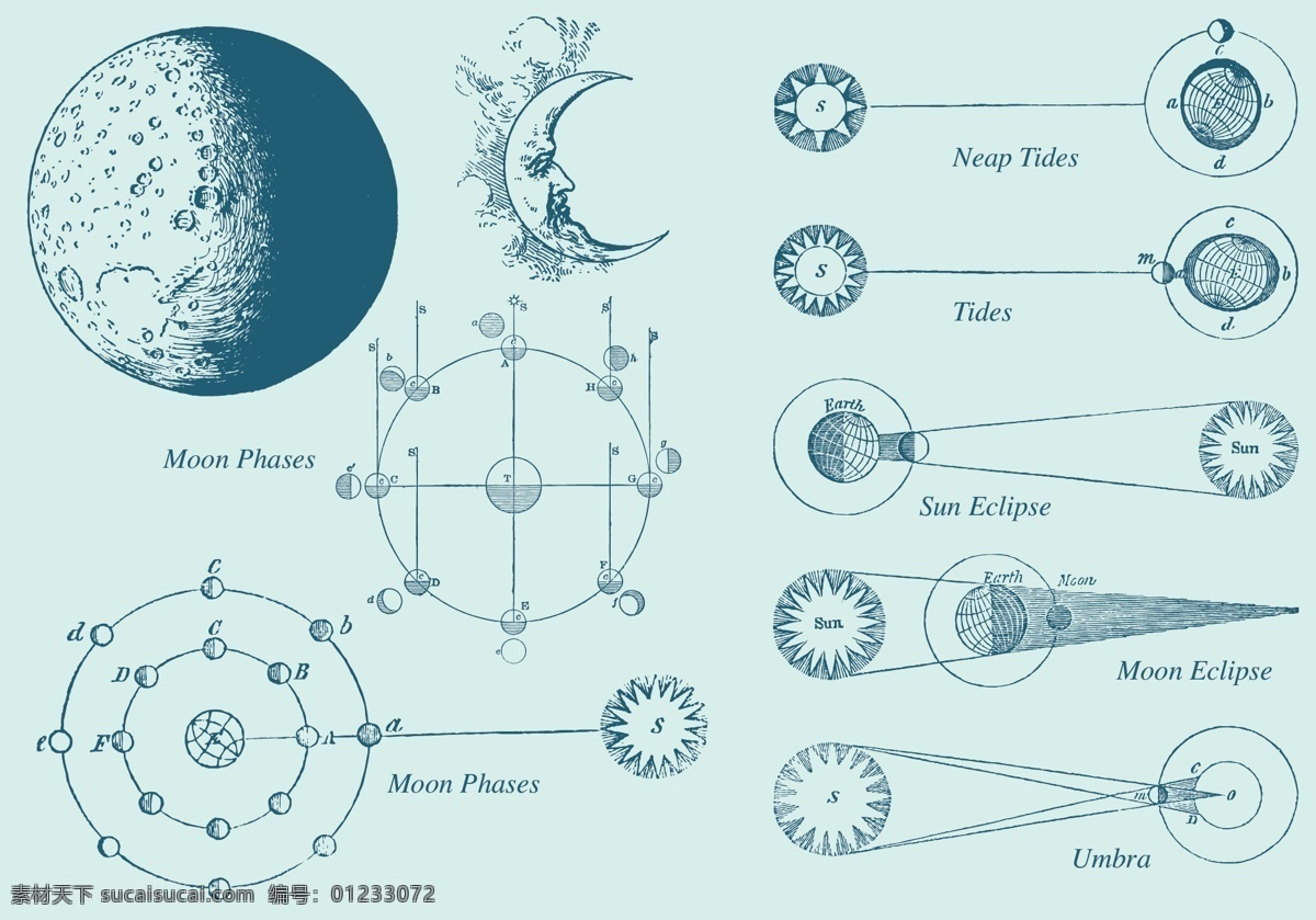 日食 月食 图案 矢量 地球 矢量素材