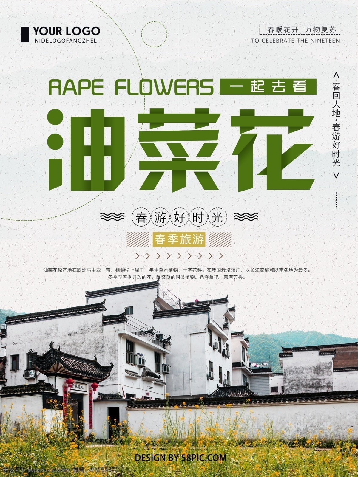 清新 简约 一起 去 看 油菜花 旅游 宣传海报 旅游海报 春季旅游 春季 踏青 海报