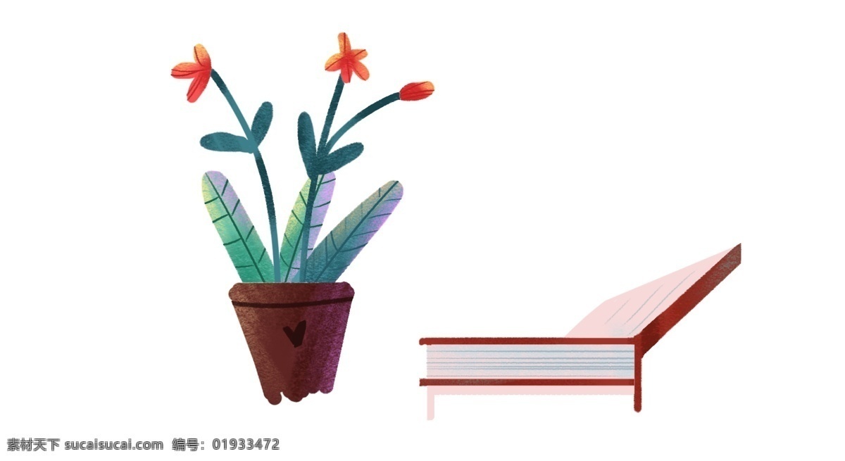 盆栽和书籍 美丽 装饰 可爱