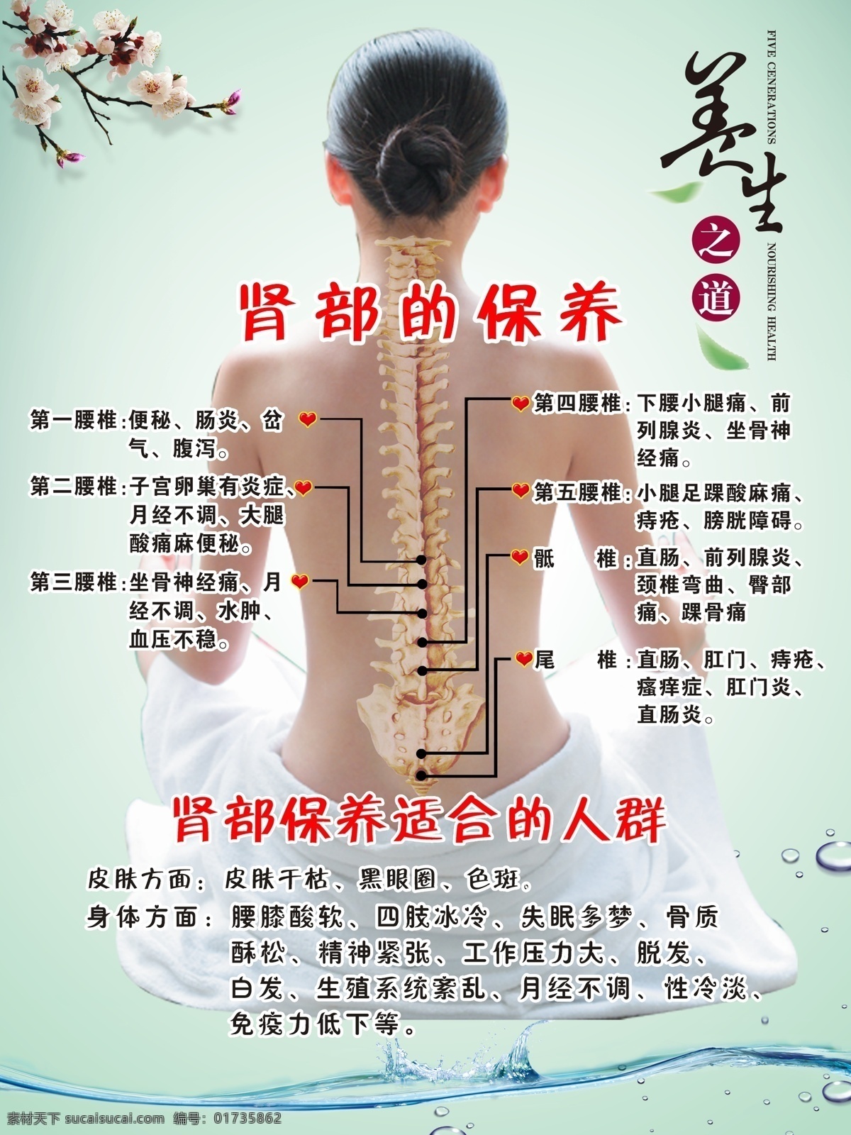 广告设计模板 女人 其他人物 人体 人体穴位图 肾部保养 肾部穴位图 肾 部 穴位 图 模板下载 身体保养法 养生 中医 源文件 其他海报设计