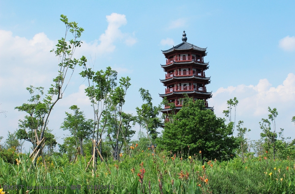 华阳 湖 湿地 公园 华阳湖 湿地公园 塔 树林 建筑园林 建筑摄影 青色 天蓝色