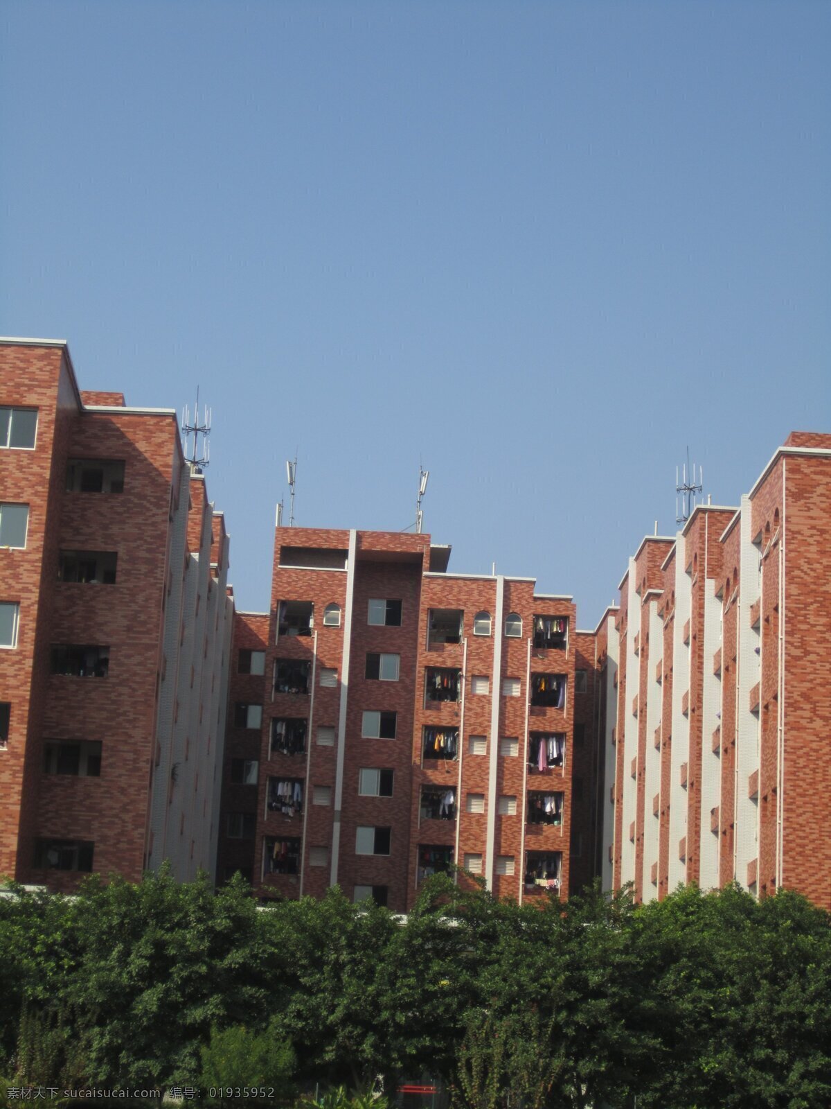 宿舍楼 重庆 南方 翻译 学院 川外 重庆大学校园 校园风景 大学校园 女生宿舍楼 摄影图片 学校摄影 建筑摄影 建筑园林 黑色