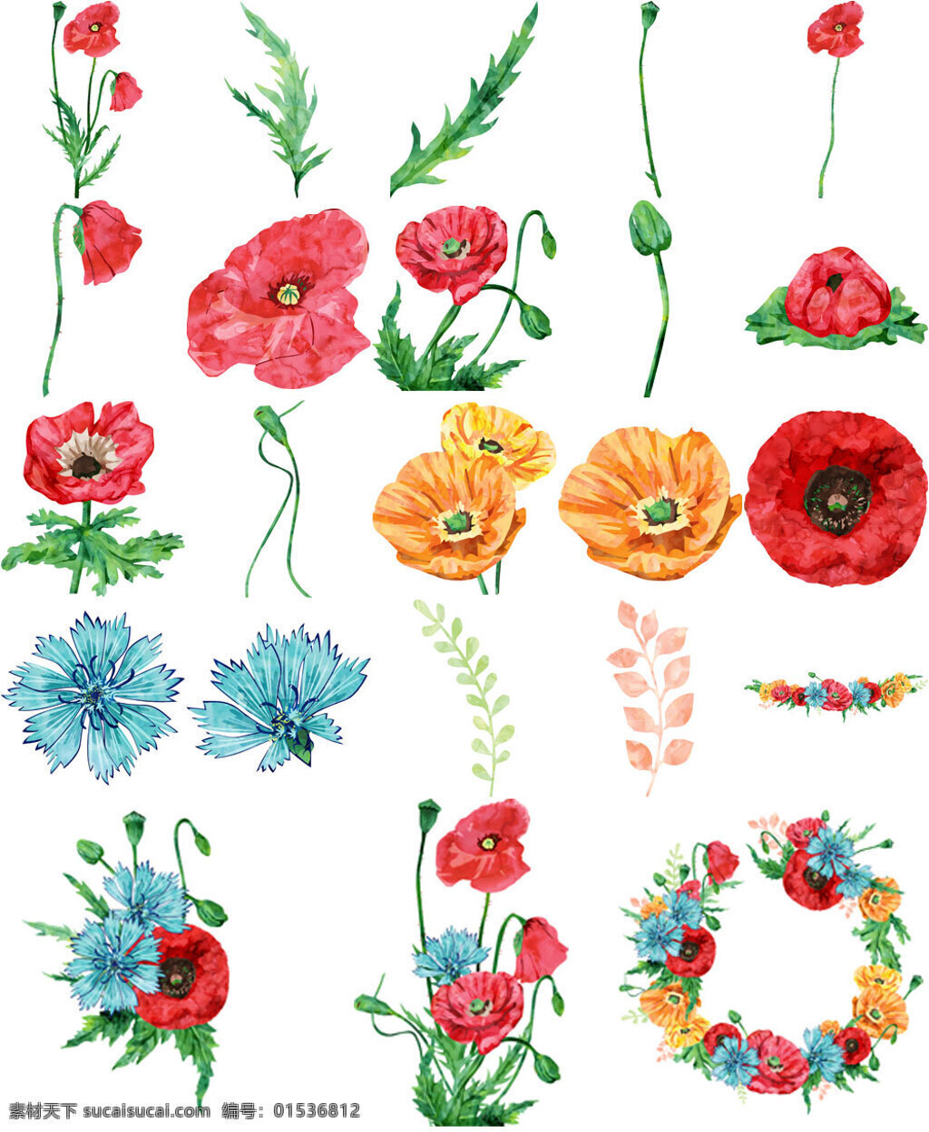 时尚 手绘 唯美 花朵 插画 花环 植物 花卉 水彩绘