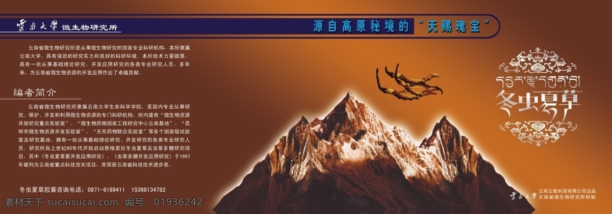 册子封面 大方 封底 封面 广告设计模板 画册 冬虫夏草 册子 民族 民族特色 书籍封面 样本 展板 简洁 画册设计 矢量图库 矢量 源文件 其他画册封面
