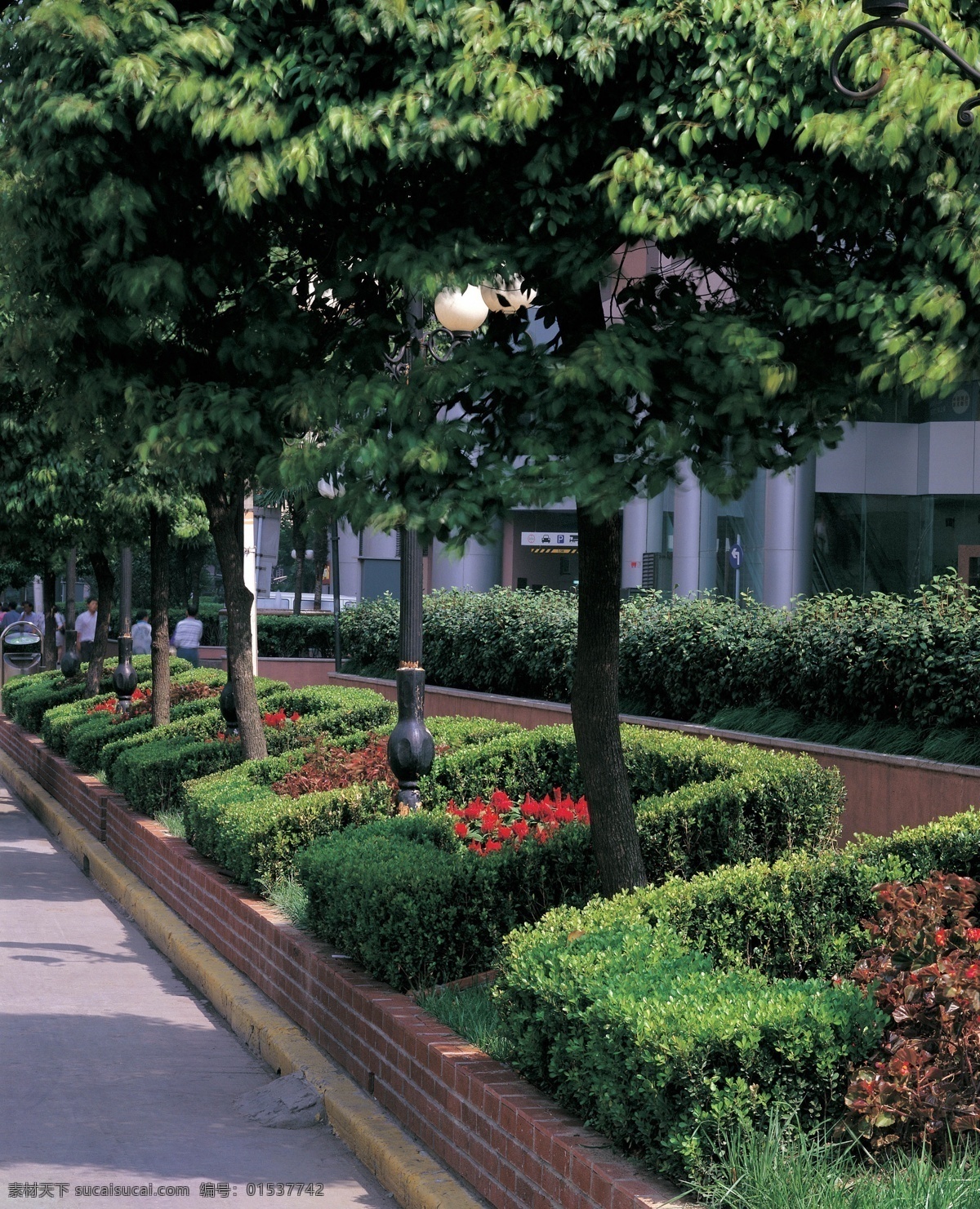 建筑摄影素材 园林城市 园林城市图片 园林景观 室外建筑素材 绿色树木植物 园林花艺 图素建筑类 建筑园林 建筑摄影