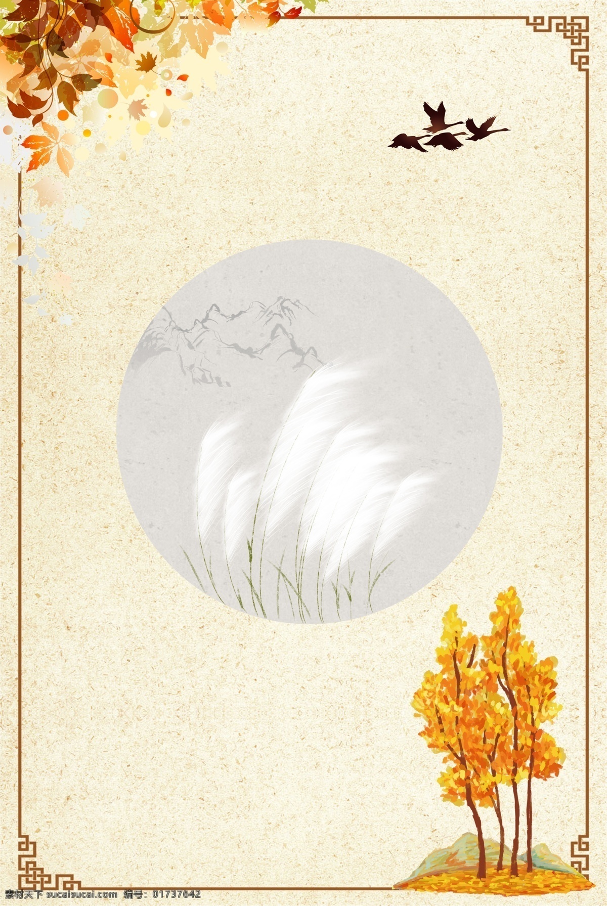橙色 秋季 装饰 白露 背景 节气 大树 自然 环境 飞鸟