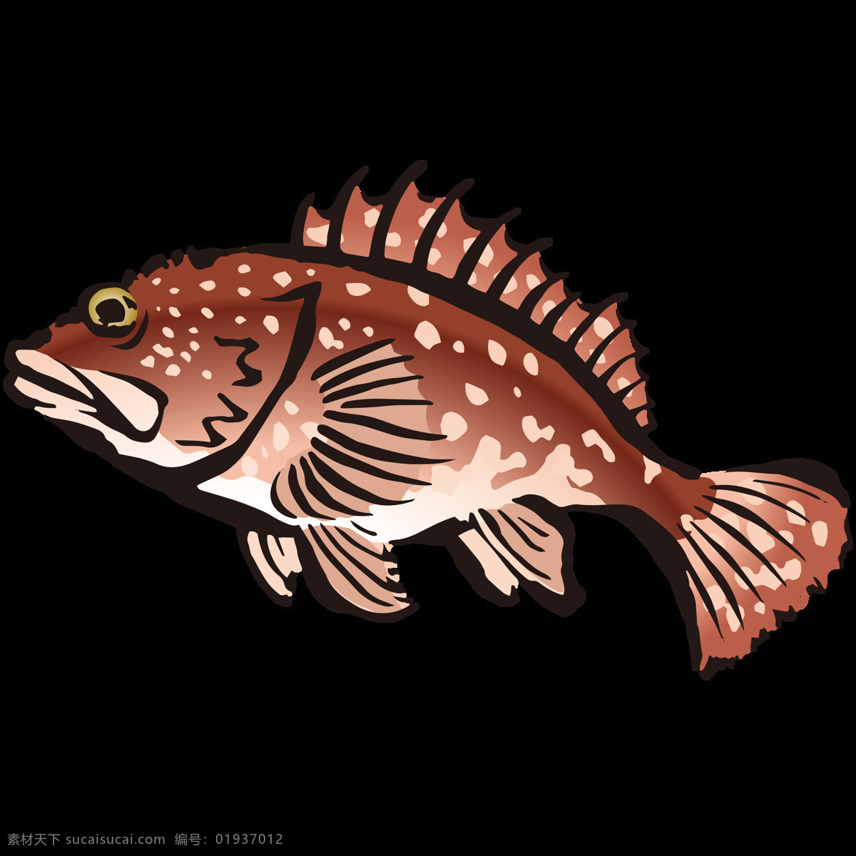 棕色 绘画 石斑鱼 石斑鱼带鱼 海洋生物 水产 鱼类 食物 水彩 手绘 颜料 小清新 包装图案 卡通 生物世界