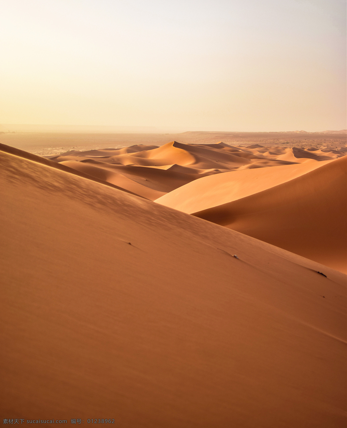 沙海 大漠 库木塔格 沙山 戈壁 线条 曲线 贫瘠 干旱 中卫沙坡头 国家 宁夏 旅游 旅行 沙丘 沙坡头 沙漠 沙漠景观 沙漠生态 自然景观 自然风光