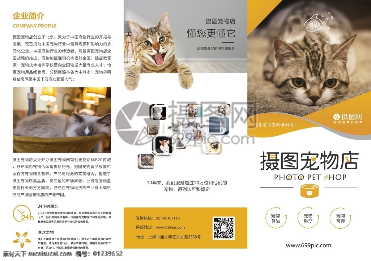 橙色 清新 宠物 店 宣传 三 折页 动物 小猫 猫咪 萌宠 萌宠之家 宠物店 三折页 三折页设计 折页设计 宠物店折页 宠物食品 宠物医疗 宠物寄养