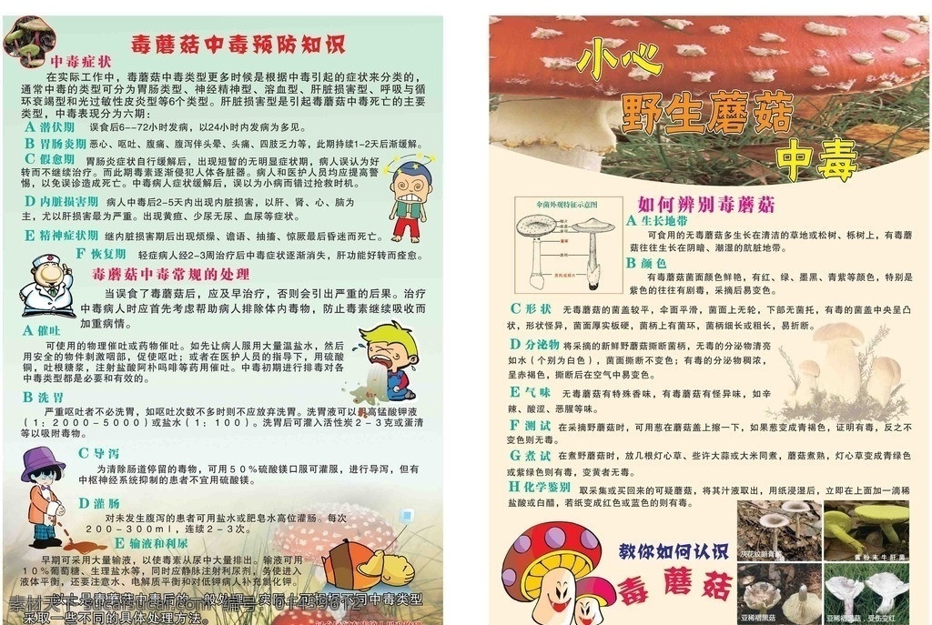 毒蘑菇 认识毒蘑菇 中毒原因 健康教育 宣传栏 中毒 食物中毒 蘑菇 野生蘑菇 预防中毒 急救 紧急预防 蘑菇菌 单页 宣传页 中毒人 画册设计 生活百科 矢量