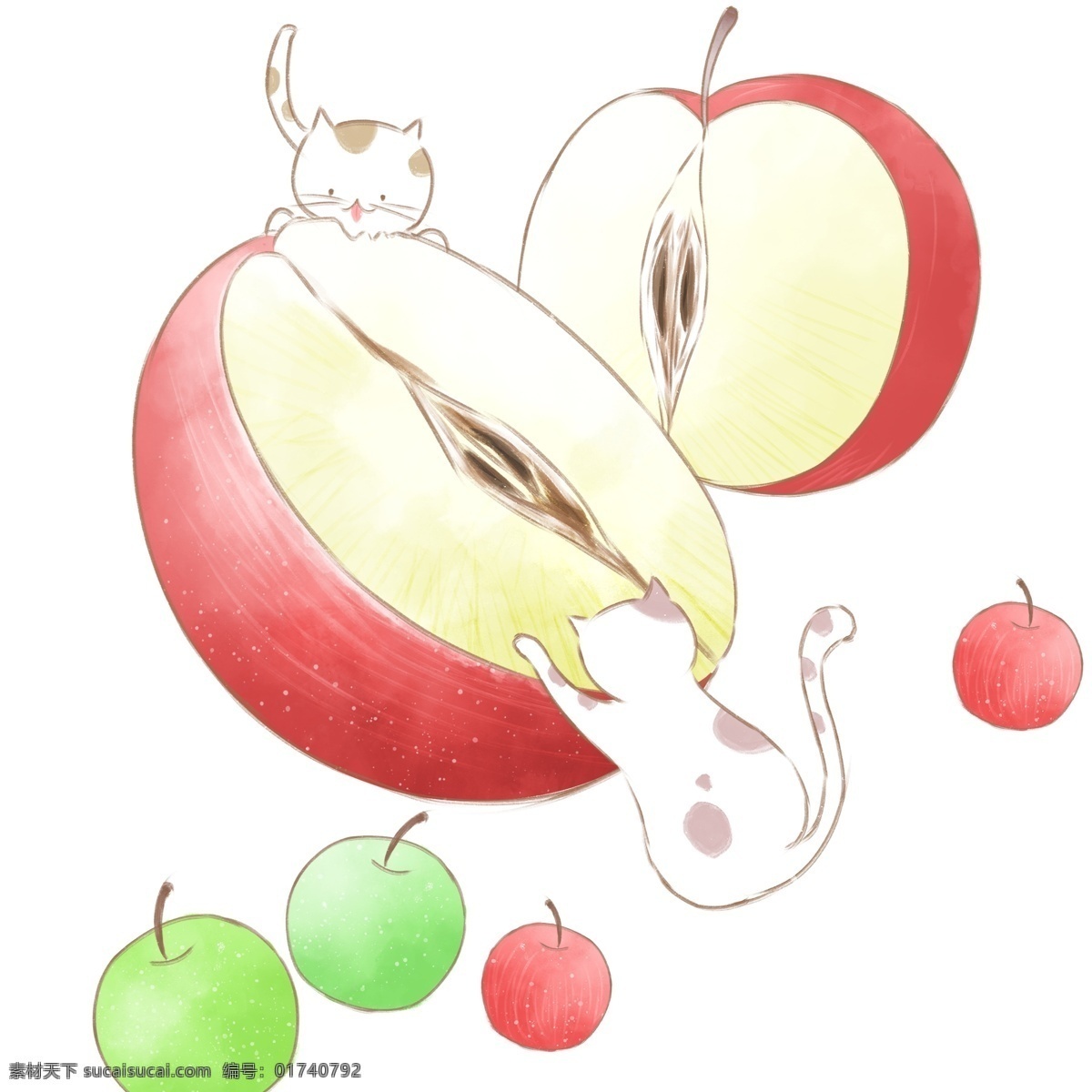 手绘 小 清新 苹果 吃 猫咪 小清新 插画 卡通 动物 水果 青苹果 红苹果