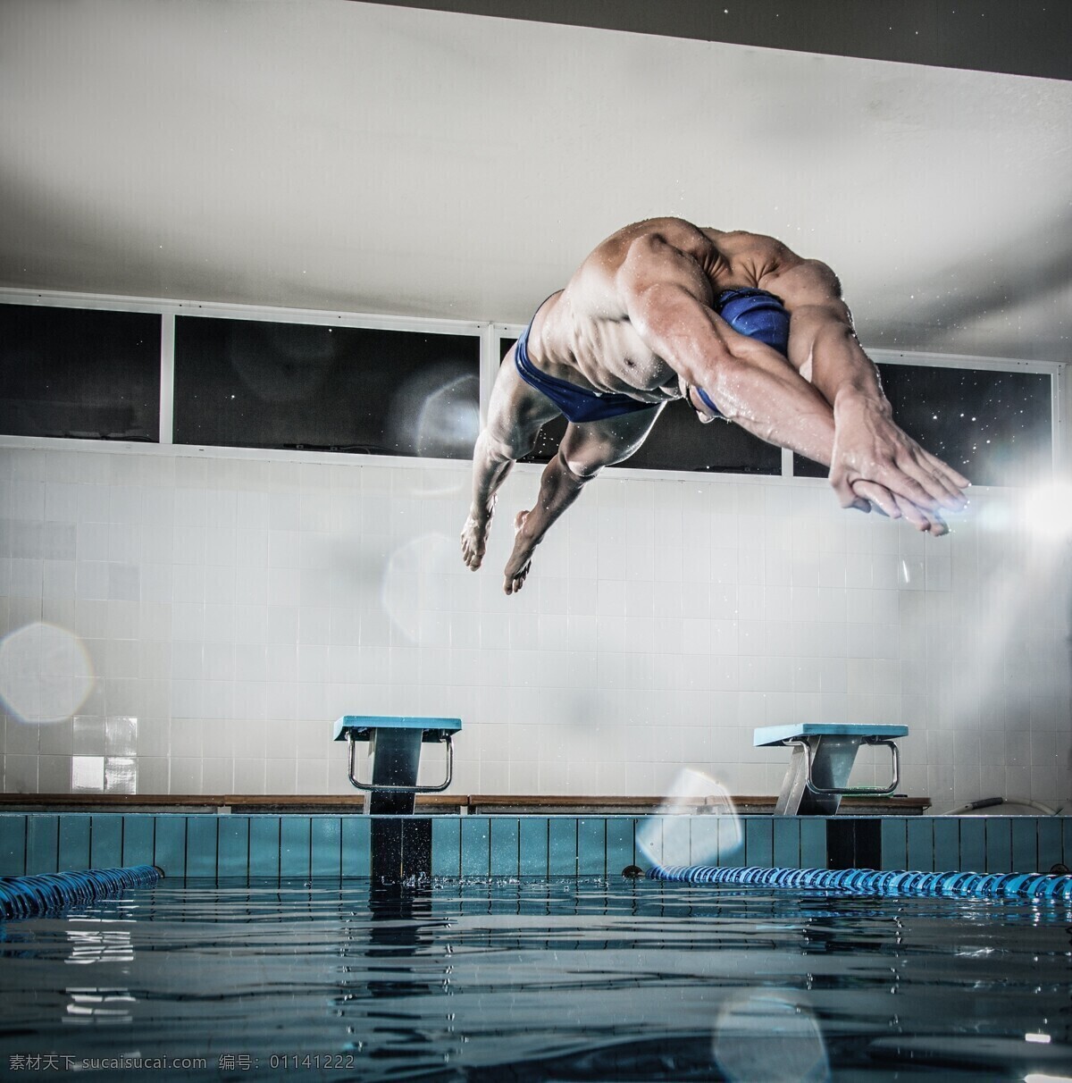 游泳运动员 跳水 体育运动员 锻炼 健身 体育运动 生活百科 灰色