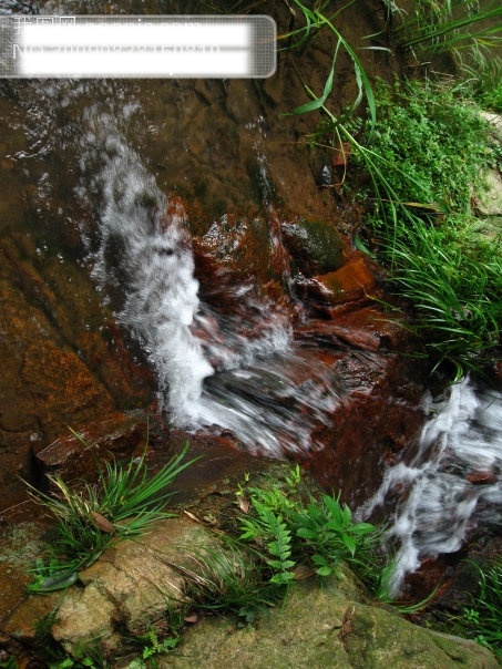 溪水免费下载 杭州 旅游摄影 绿色植物 群山 摄影图 溪水 石 德清 莫干山 杭州旅游 风景图片 风景 生活 旅游餐饮