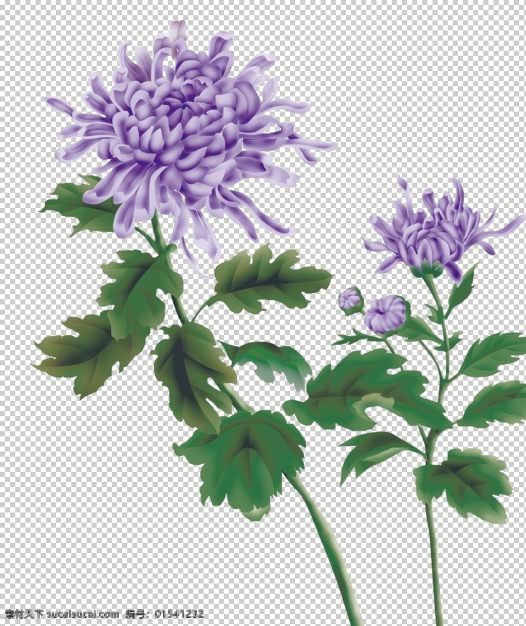 中国 古风 传统 花鸟画 中国风 传统绘画 工笔画 植物 花朵 树枝 花鸟 创意 装饰图案 绿叶 精美 图案