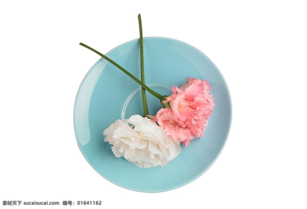春季 节日 花朵 植物 元素 盘子 装饰 月季 植被