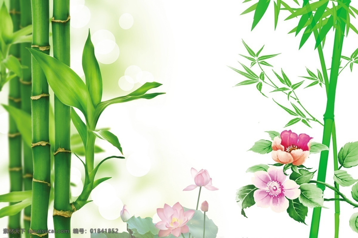 竹子免费下载 广告设计模板 花 绿色 源文件 展板 展板模板 竹子 竹子展板 其他展板设计