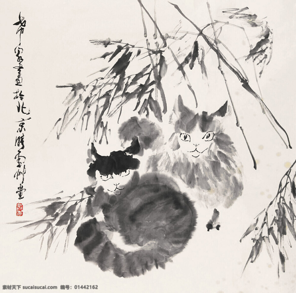 背景素材 背景 库 国画 猫 猫咪 墨竹 设计图库 水墨 水墨背景素材 庞希泉 现代 宣传背景素材 水墨素材 文化艺术