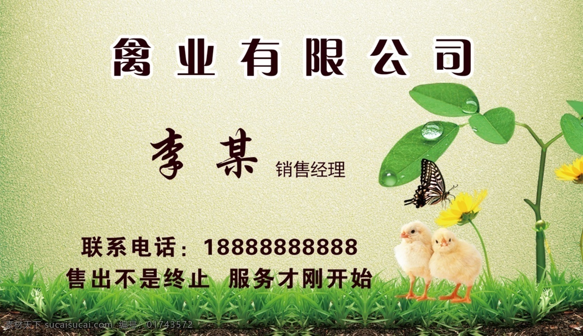禽业名片 禽业 青年鸡 名片 森系 畜牧业 大气 简约 分层
