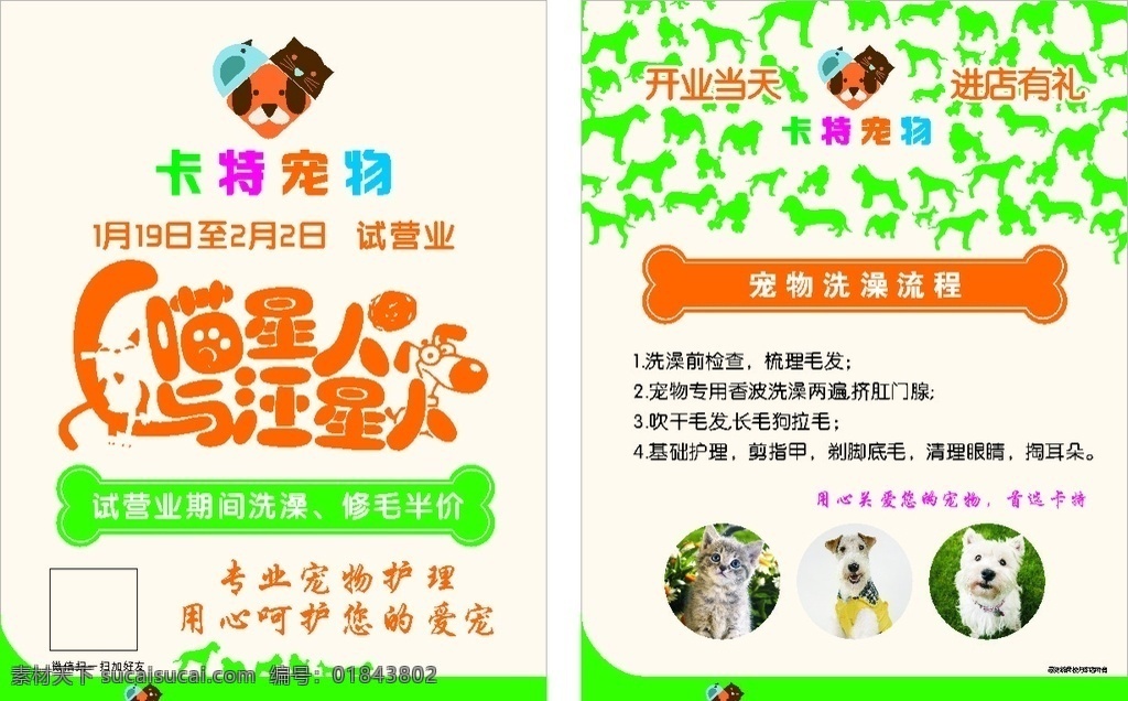 宠物店彩页 宠物店 彩页 海报 喵星人 汪星人 宠物彩页