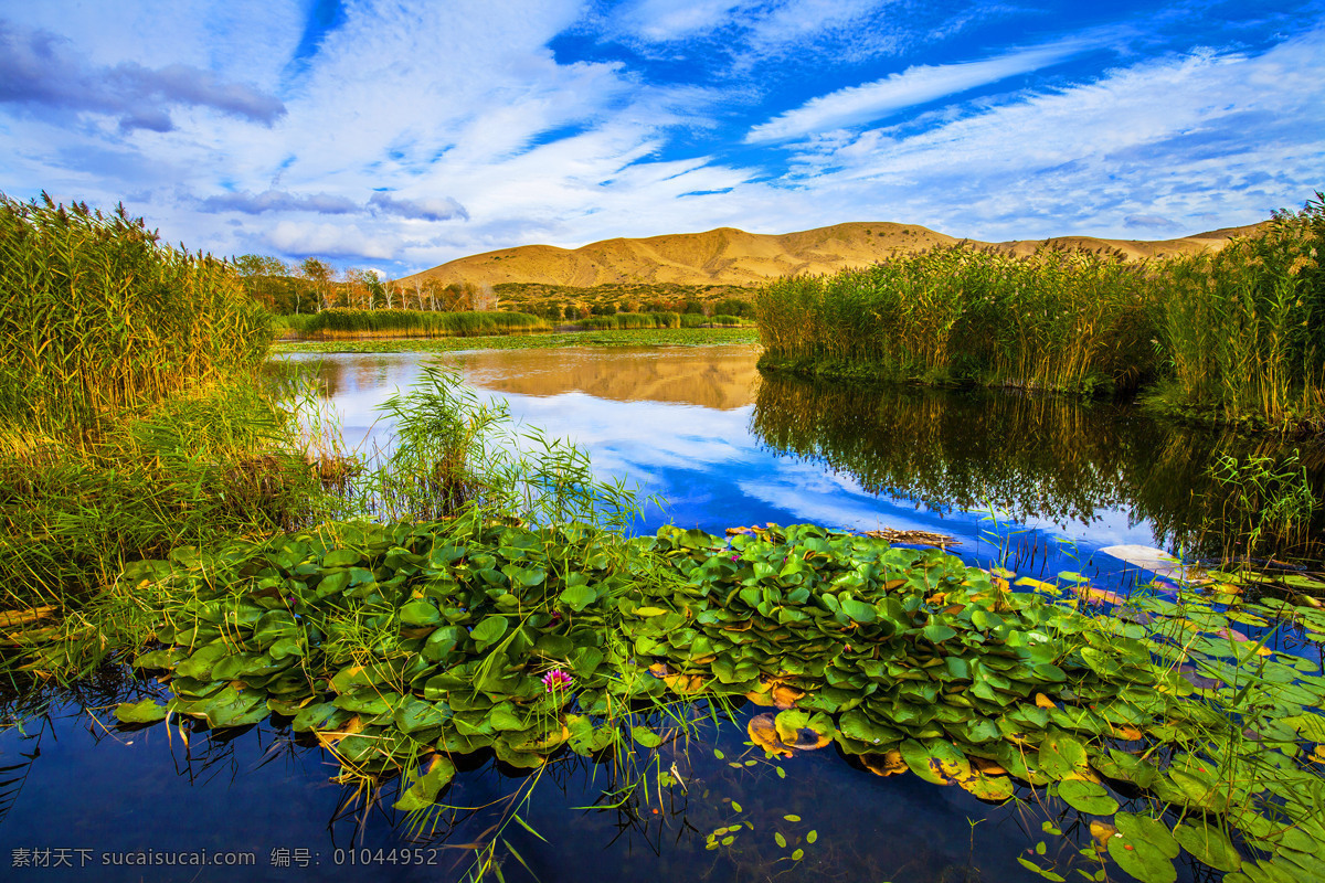 唯美风景 风光 旅行 自然 新疆 白沙湖 湖 旅游摄影 国内旅游