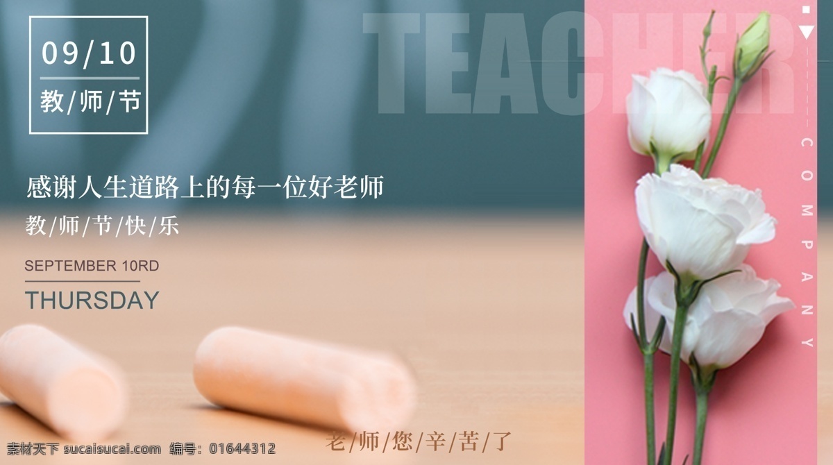 教师节 节日 宣传海报 康乃馨 老师 展板 海报 教师节海报