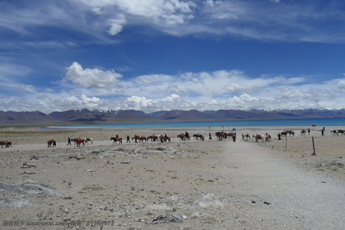 白云 大海 国内旅游 海滩 蓝天 旅游摄影 沙滩 西藏 风景图片 西藏风景 阳光 马 西藏风景图 psd源文件