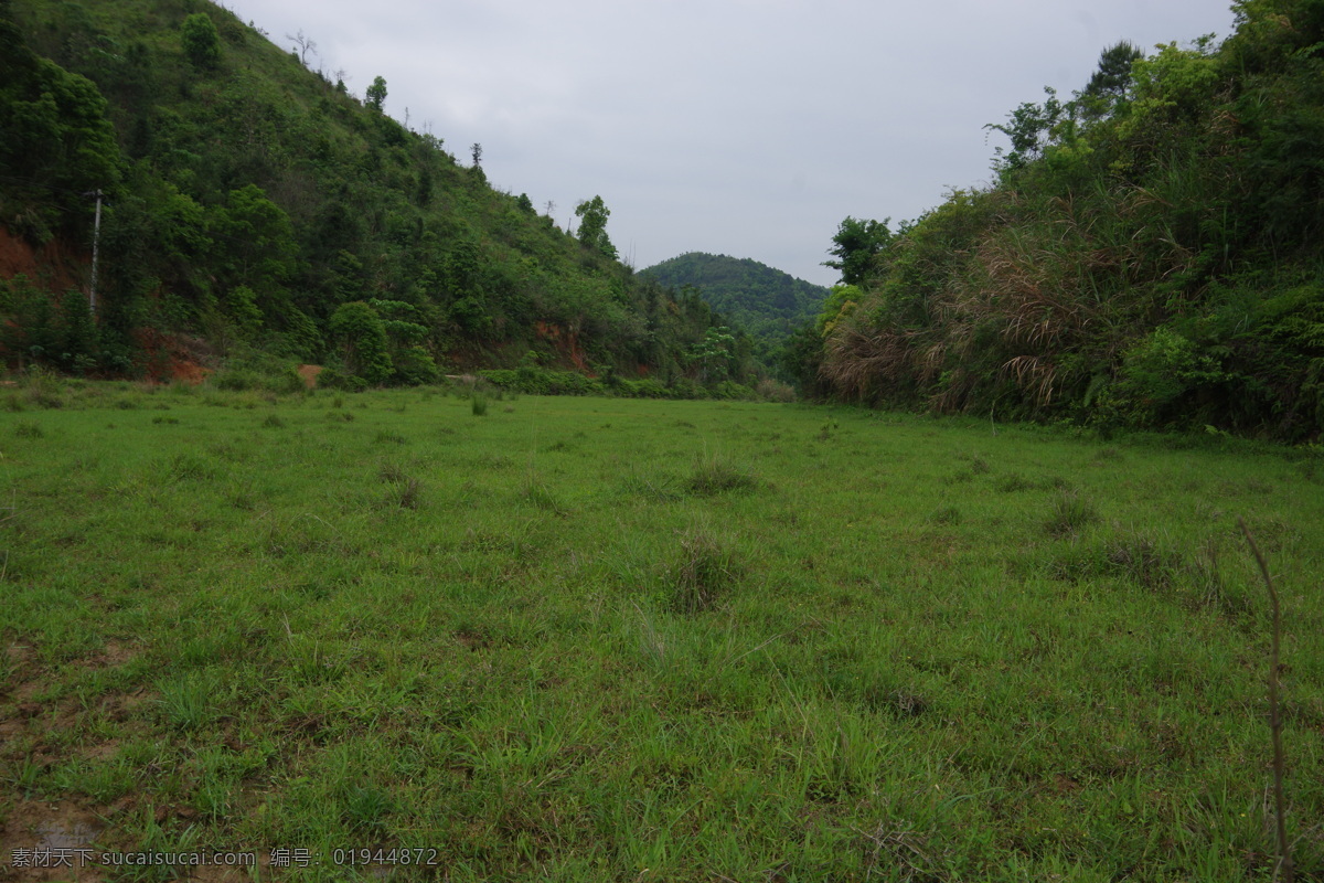抛荒地 农村 山区 农田 抛荒 草地 生草 丘山 什草 树木 小树 白云 蓝天 旅游摄影 国内旅游