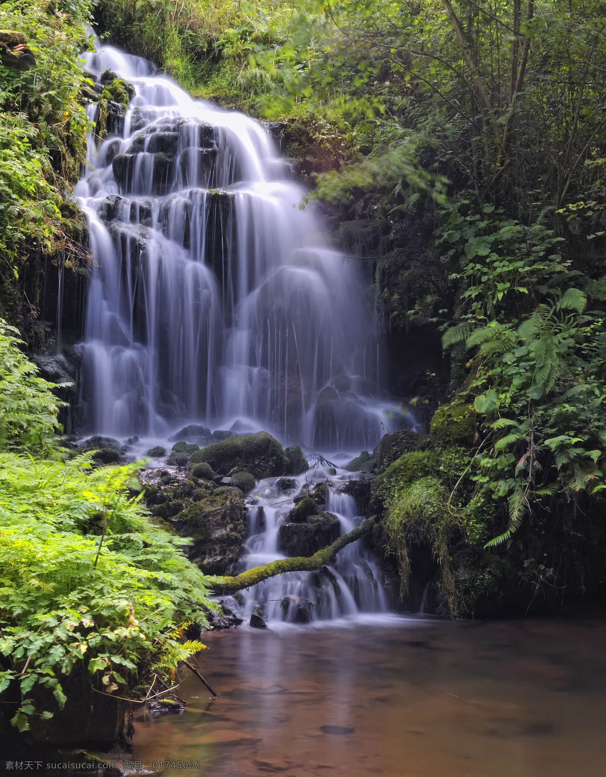 瀑布 景观瀑布 园林 树叶 叶子 流水 植物 石头 大自然 风景树木 森林 瀑布图片 风景图片
