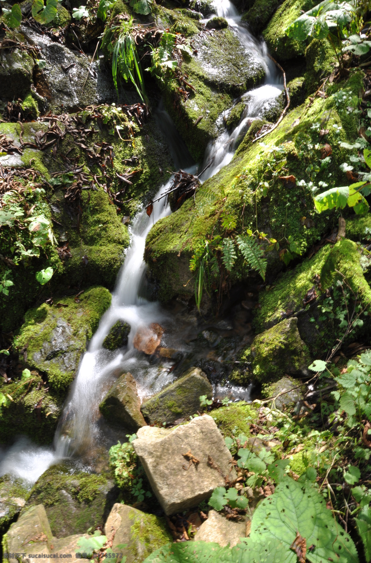 小溪 素材图片 河流 石头 植物 自然风光 景观 景区 太白山 休闲旅游 风景名胜 风景图片