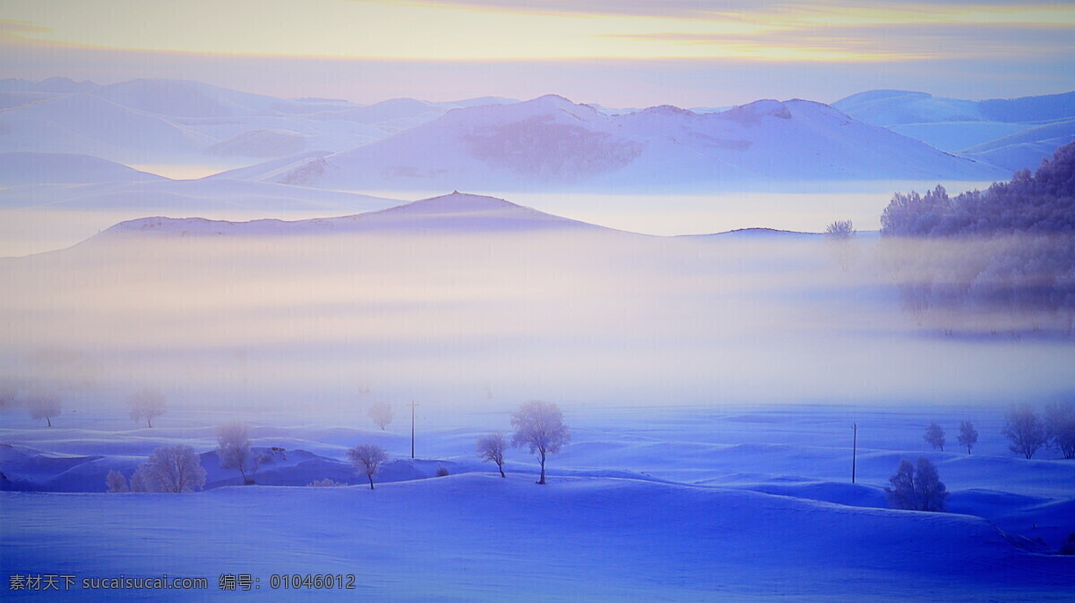 冬天的意境 郊外 风景 设计素材 落叶冬天雪景 树林 大雪 封面设计 蓝色