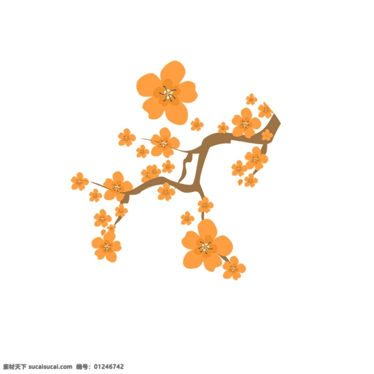 一枝梅花 一枝 黄色 梅花