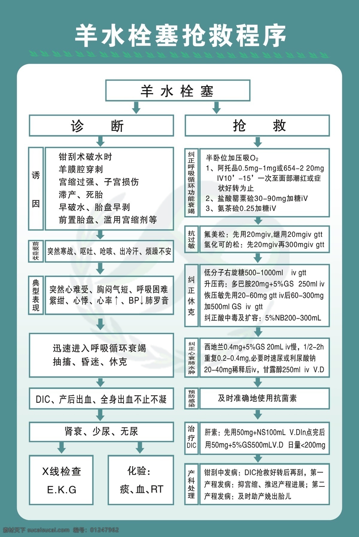 羊水栓塞 医院产科 产科流程图 产房流程图 新生儿窒息 抢救 抢救流程图 子痫抢救流程 窒息抢救流程 产科出血抢