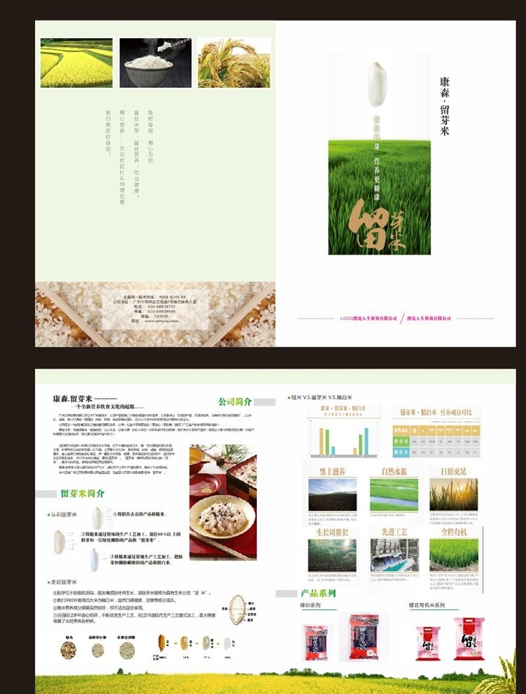 留芽米 大米 农作物dm单 农业宣传单 大米宣传单 米业 折页 dm宣传单