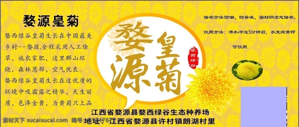 婺源皇菊 皇菊 婺源 菊花 菊 皇