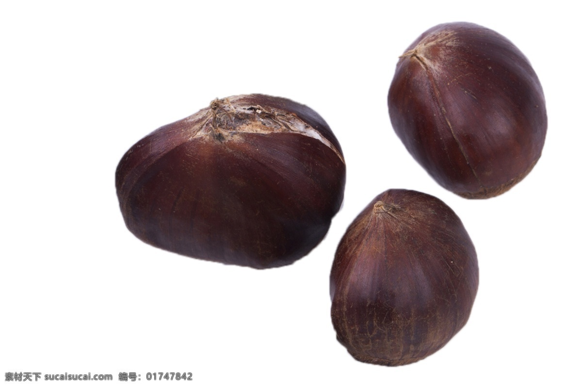 三 颗 香甜 大 栗子 三颗 美味 大栗子 糖炒栗子 板栗 油栗子 休闲食品 植物 栗子树 好吃 甘甜 新鲜