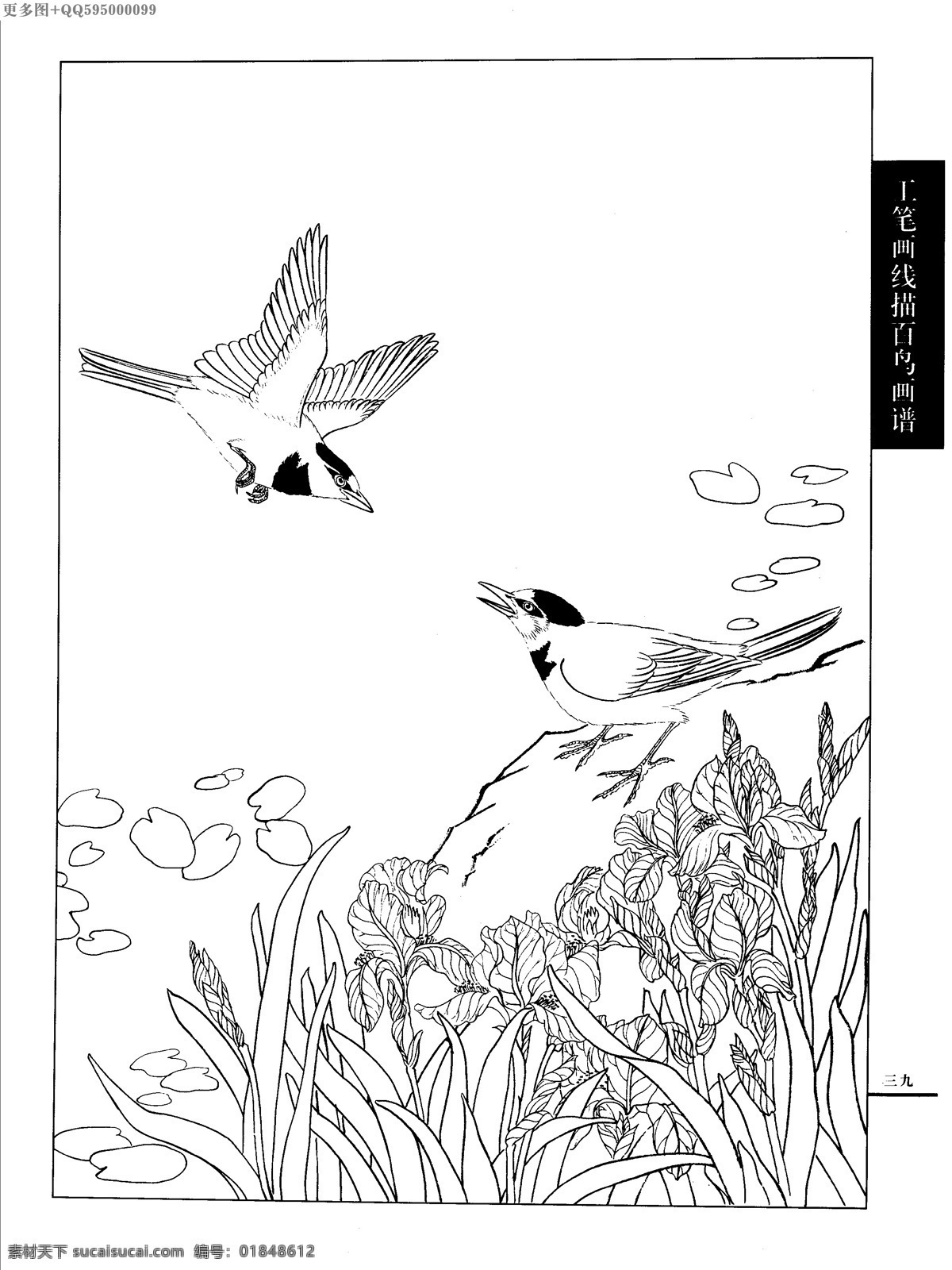 工笔画 线描 山水 画谱 水禽 白描 黑白稿 手绘 线描鸟 绘画 鸟 鹤 白描鸟 手绘鸟 家禽 鸭 鹅 鸳鸯 丹顶鹤 百鸟 水禽篇 绘画书法 文化艺术