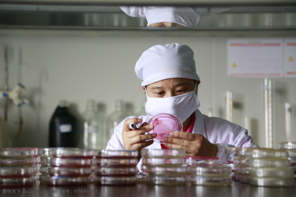 实验室 检验 人员 检验人员 奶粉实验室 奶粉 检测人员 职业人物 人物图库