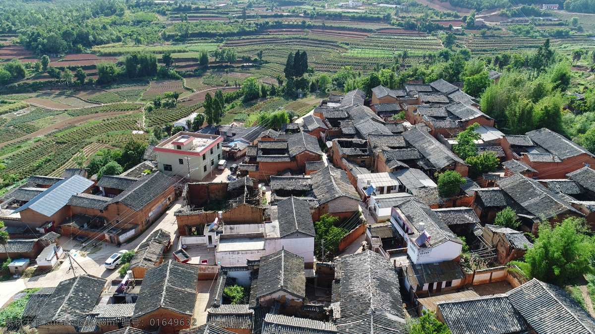 村庄 农田 稻田 农村 油菜花 油菜地 春天的气息 春意 自然景观 田园风光